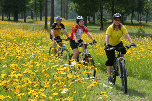 Biking through a field